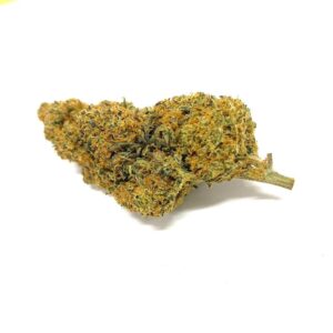 CBD therapy 10 gr