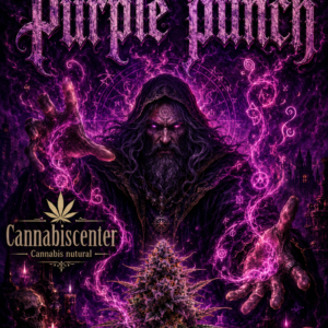 cartridge purple punch 1ml Califarms
